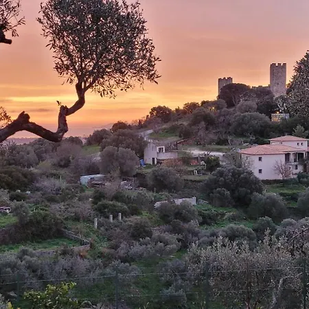 - Colline - Vue Sur Mer Hyères